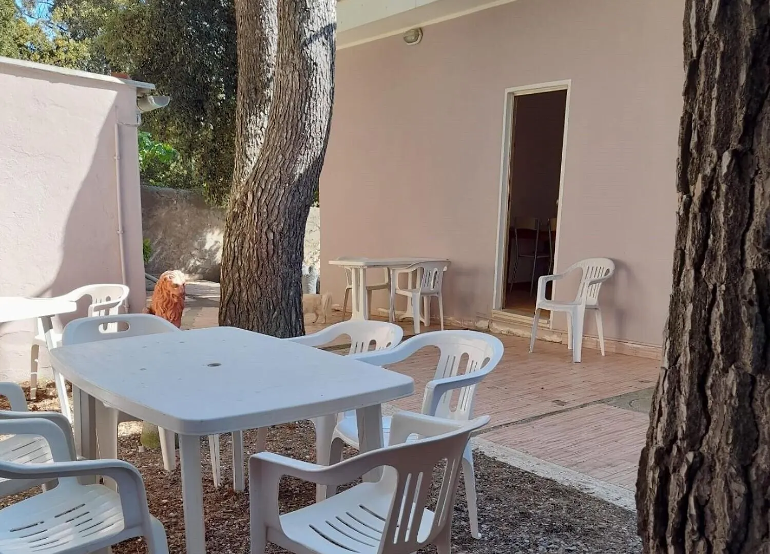 Casa Asmara Castiglioncello Daire